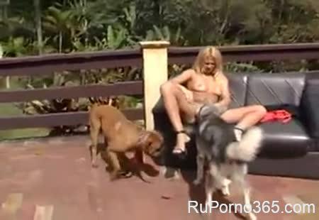 Порно: Секс с собакой русское 20 видео смотреть онлайн